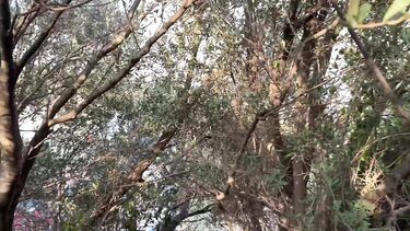 Силиконовые любительницы: Публичный секс блондинки Misha Maver с испанским жеребцом недалеко от моря