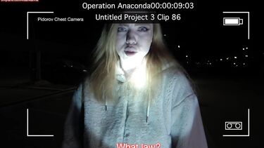 Нарушительница закона выплачивает штраф сексом в машине с полицейским