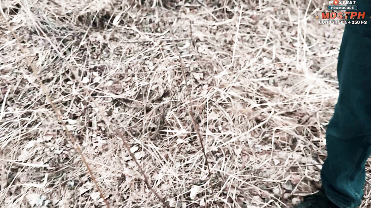 Социальный эксперимент русской блондинки блогерши закончился сексом в машине