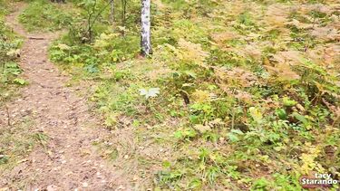 Сводная сестра дрочит пизду вибратором после минета в лесу своему брату