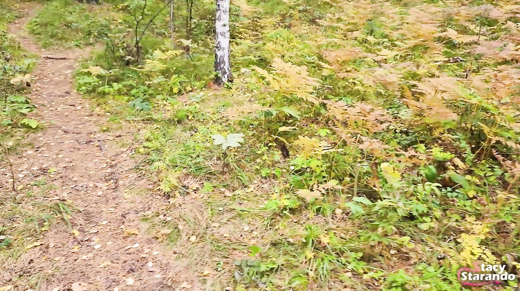 Сводная сестра дрочит пизду вибратором после минета в лесу своему брату