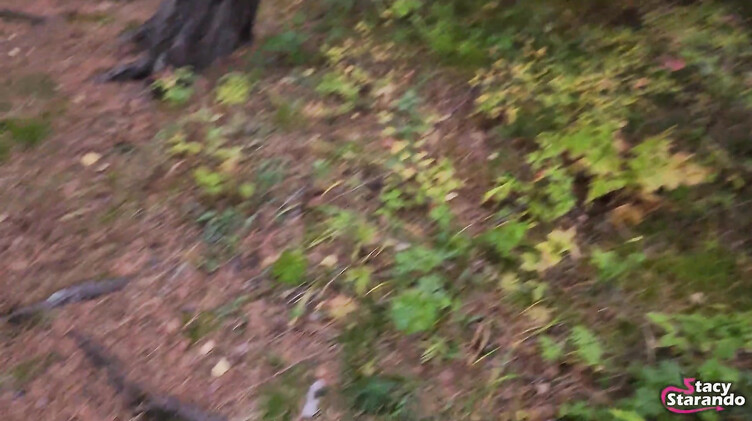 Инцест с разговорами: Сводная сестра дрочит пизду вибратором после минета в лесу своему брату