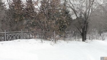 На природе: Отсасываю своему парню зимой в городском парке и глотаю сперму