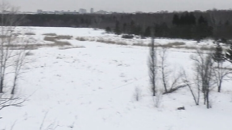 Отсасываю своему парню зимой в городском парке и глотаю сперму