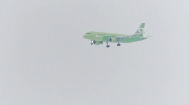 Letty Black: Отсасываю своему парню зимой в городском парке и глотаю сперму