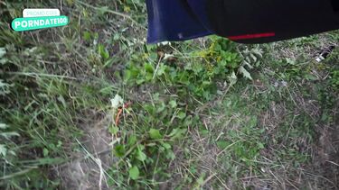 Старательный любовник довел до сквирт оргазма проститутку с сайта знакомств