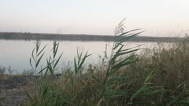 Тупая русская брюнетка отдалась на пляже незнакомцу и получила сперму в пизду