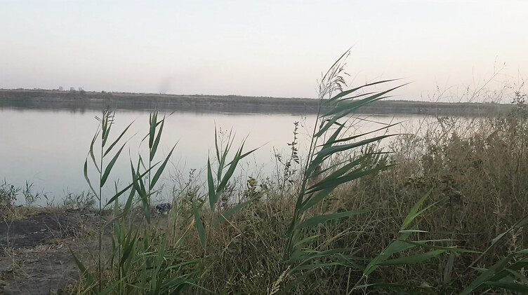 Тупая русская брюнетка отдалась на пляже незнакомцу и получила сперму в пизду