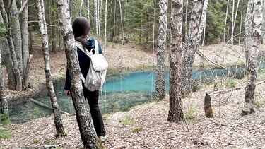 Быстрый анал возле озера в лесу