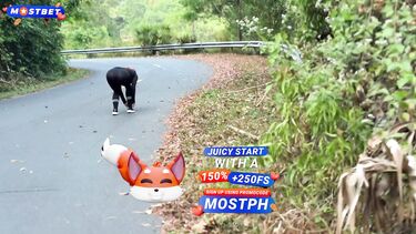 Выебал после утренней пробежки девку с трусиками во рту