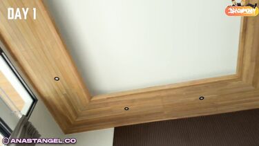 Сисястая сводная сестра сорвала планы своего брата на недрочабрь