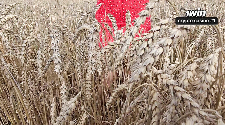 Фотограф трахнул русскую девку раком на природе и кончил ей в киску