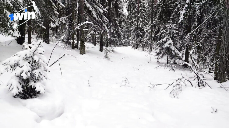 Музыкальный порно клип с трахающейся в лесу русской Снегурочкой