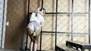 Харли Квинн скучает за решеткой