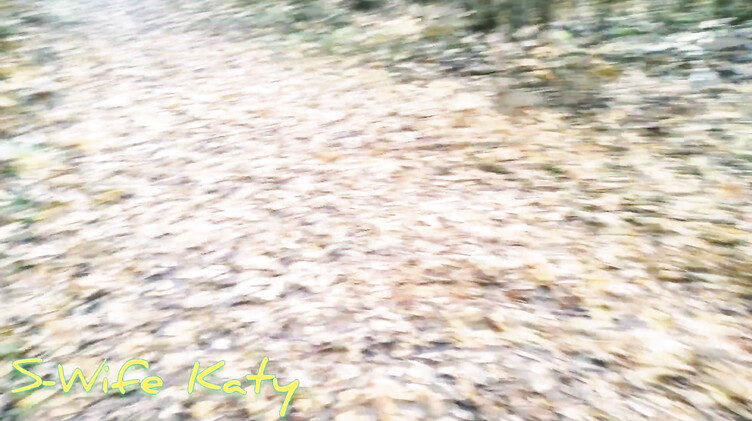 Призрак ебет анал блондинки в мистическом лесу