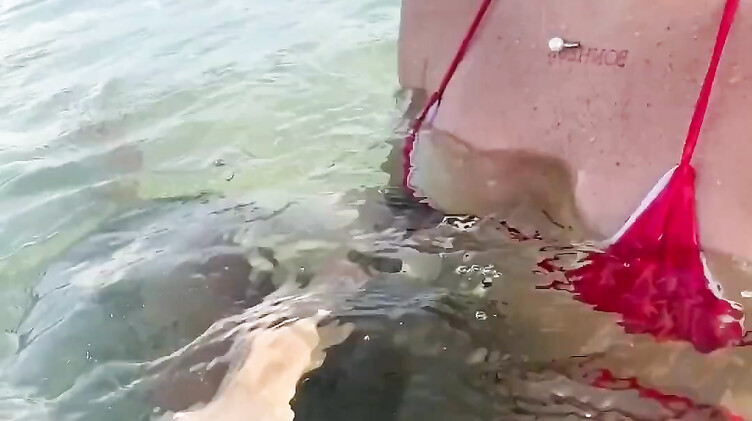 На море: Девушка в купальнике отдыхая на море дрочит под водой член бойфренда