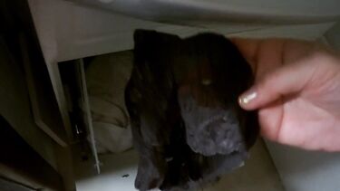 Жена вернулась с блядок в трусах в сперме и была выебана ревнивым мужем