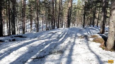 В лесу: Заблудилась зимой в лесу и получила сперму в киску