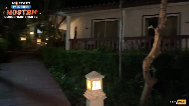 Женатик запикапил девушку на баре в Паттайе и трахнул в жопу