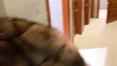 На улице: Публичное порно с Алиной Тумановой на трассе и в туалете торгового центра