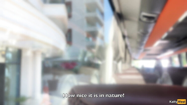 Извращенец дрочил в автобусе и получил помощь незнакомки