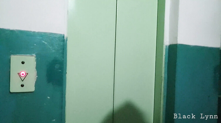 Любовник: Замужняя русская брюнетка по-быстрому сосет в подъезде член соседа