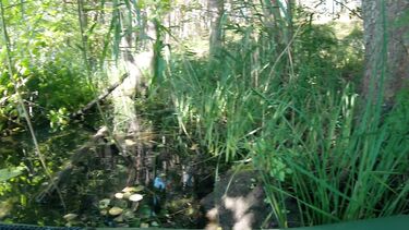 Лодочная прогулка с футджобом для парня на веслах