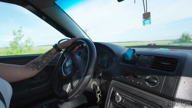 Девушка подвезла женатика и взяла оплату натурой