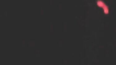 Трахнул сводную сестру с финалом на попку