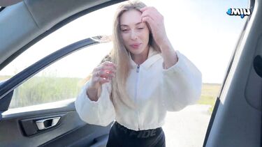 Водитель отымел в машине красотку за проезд