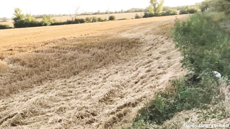 Встретил голую незнакомку в поле и отымел ее в пизду