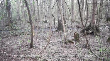 Застройщик дал на клык и трахнул в лесу прикованную эко-активистку