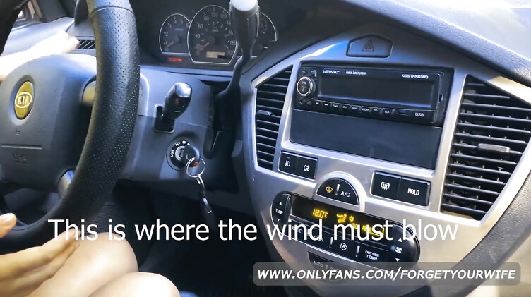 Тупая пизда сосет незнакомцу член за ремонт машины