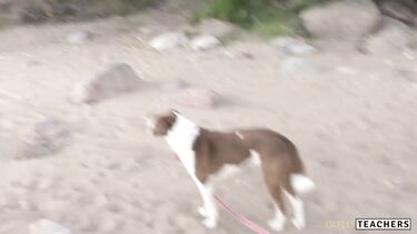 Худенькая девушка в платье сделала парню POV минет на пляже