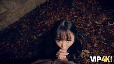 Мужик за деньги отодрал японскую туристку при куколде муже