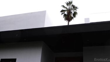 Трахнул в глотку и пизду милфу Мелиссу Страттон в леопардовом белье