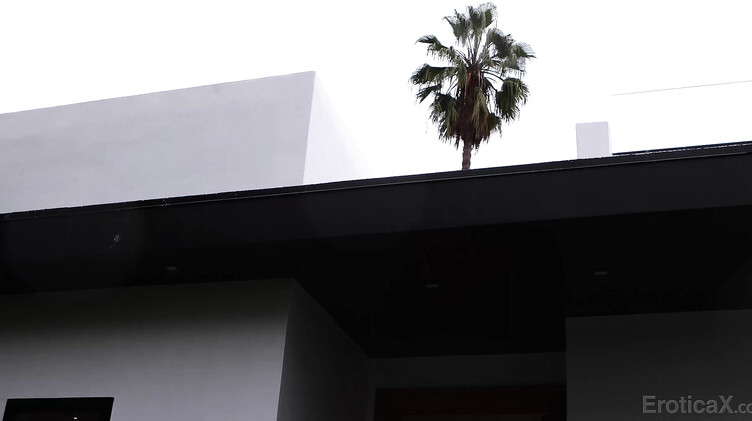 Трахнул в глотку и пизду милфу Мелиссу Страттон в леопардовом белье