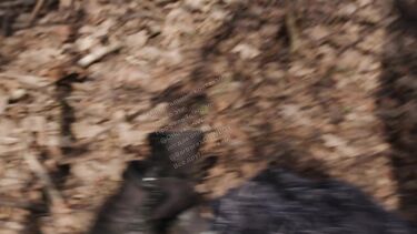 В одежде: Сексвайф Ольга Орлова трахается с двумя незнакомцами в лесу при муже (грязные диалоги)