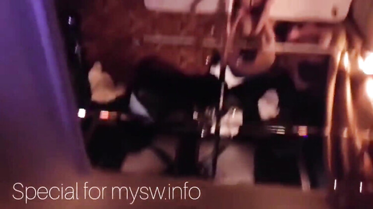 Подборка гэнгов с русской сексвайф RealFeel