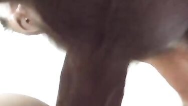 Стриптизер ебет Елену Беркову раком в отеле