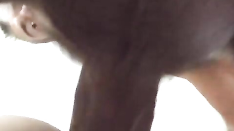 Стриптизер ебет Елену Беркову раком в отеле