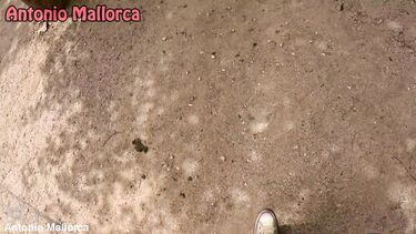 Познакомился с беременной девушкой на улице и выебал ее у себя дома